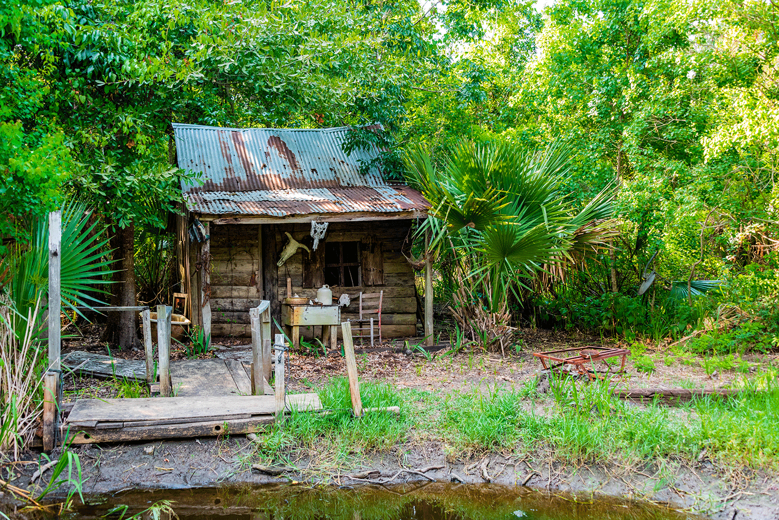 Julia Brown's swamp shack 