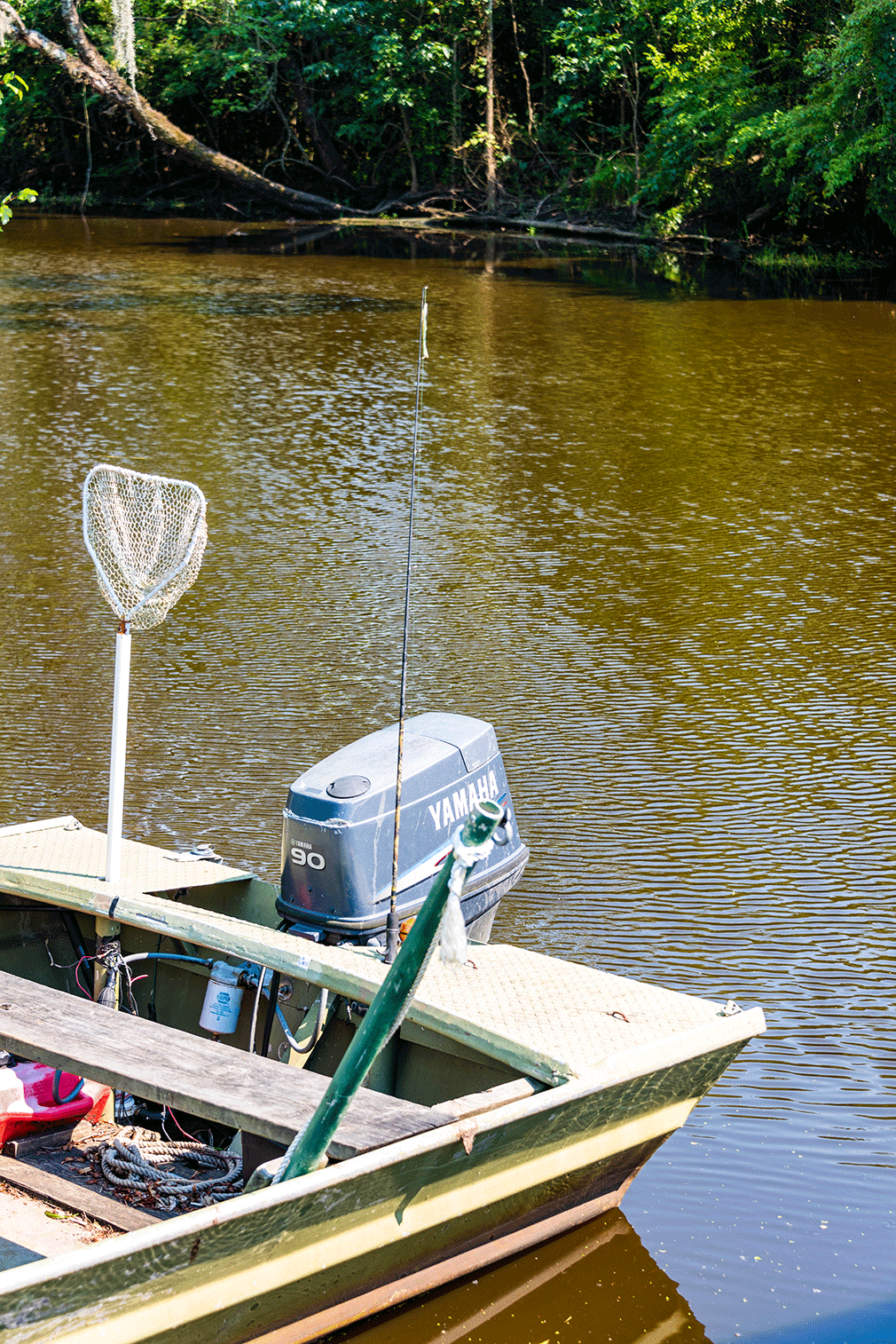 boat in swamp