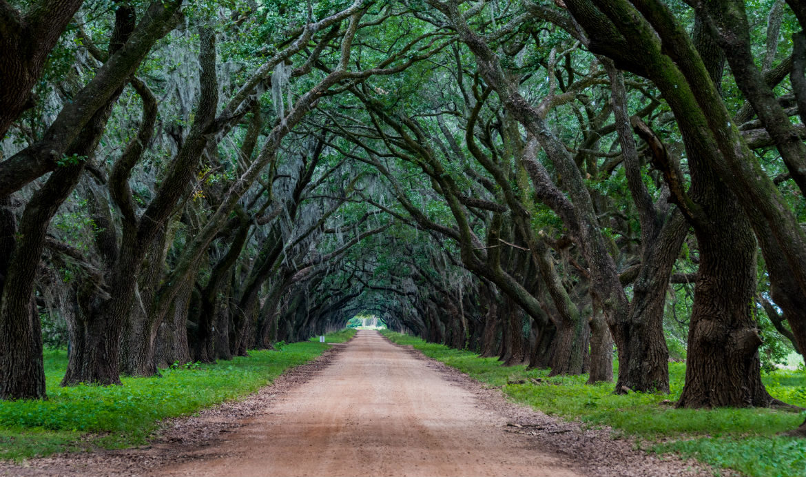 visit evergreen plantation