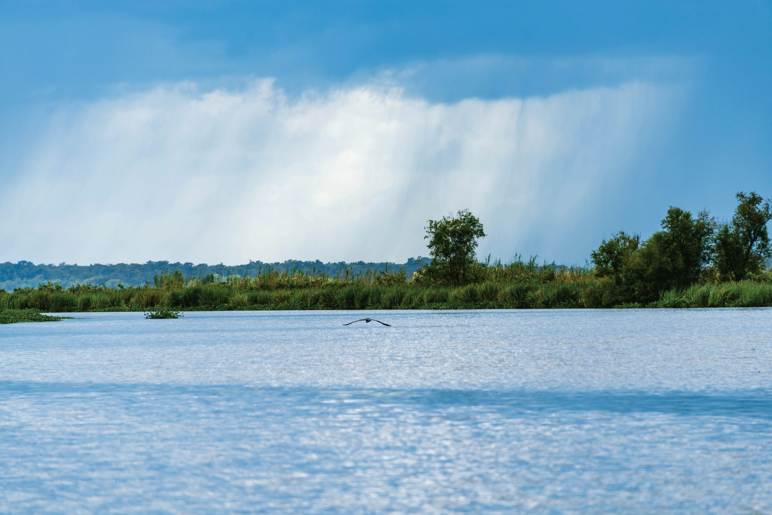 Lac Des Allemands 