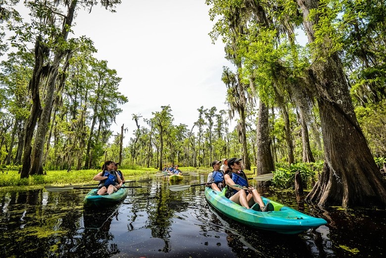 kayak swamp tour - Louisiana swamp tour - New Orleans swamp tour