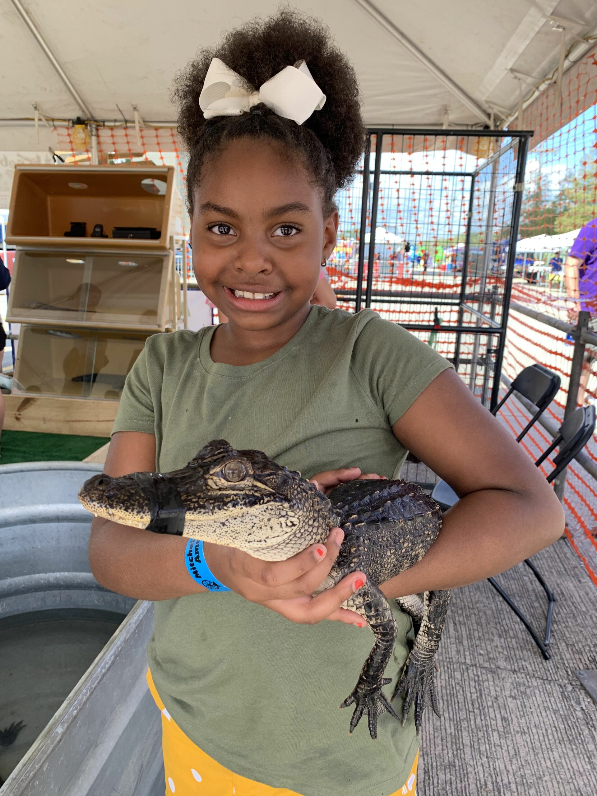 Alligator Festival Louisiana's River Parishes